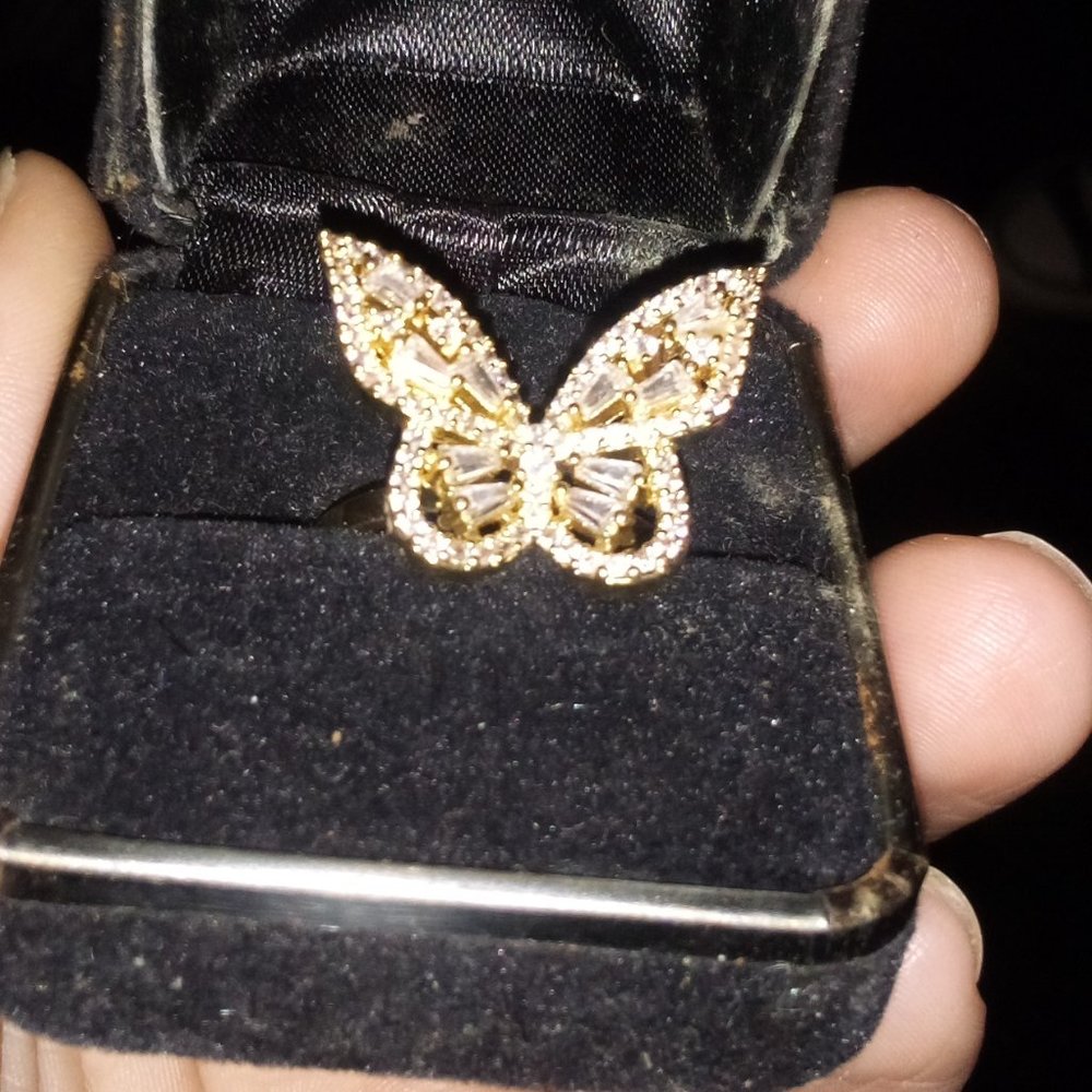 18k butterfly rig